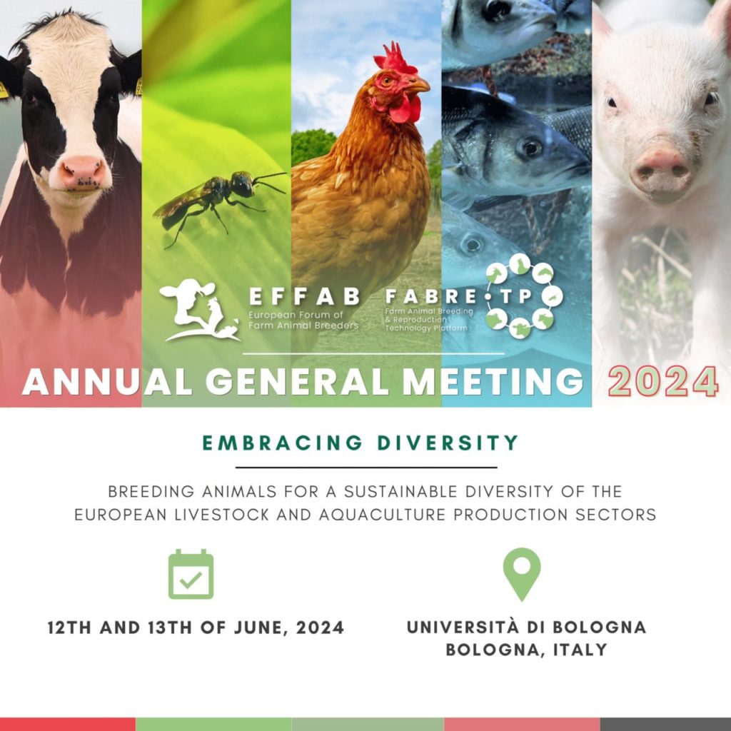 Annual General Meeting 2024 EFFAB